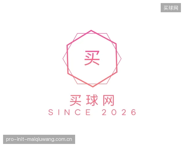 介绍买球网公司
